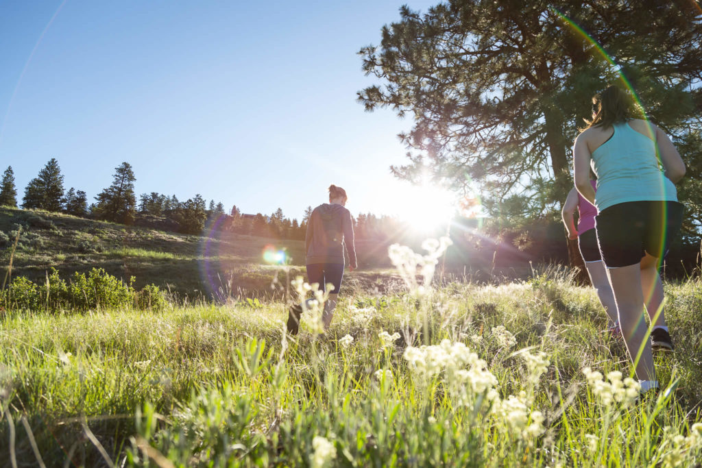 Explore our many hiking trails